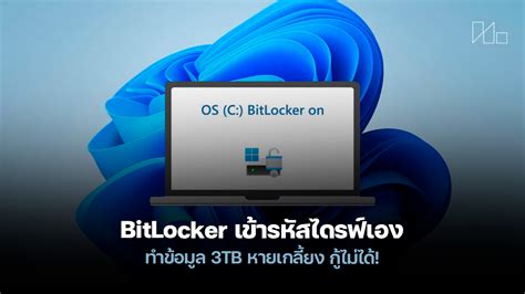 Image result for Windows 11 Auto BitLocker