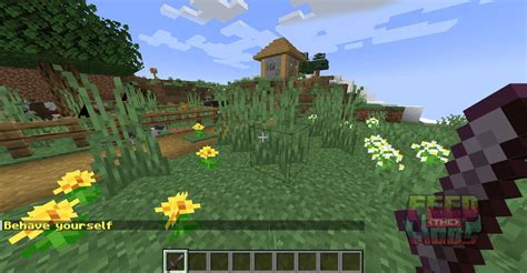 Image result for God Mod Minecraft Java