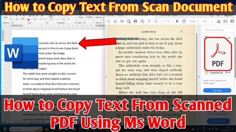 Image result for Scan PDF Image into Text