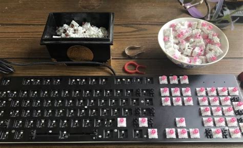 Image result for How to Pull Off a Keybaord Switch