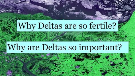 Image result for Verschillende Delta's