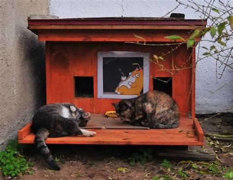 They built shelters for homeless cats to survive the winter, and the ...