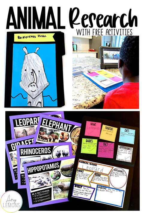 Animal Research Task に対する画像結果