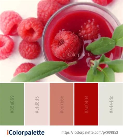 Image result for Raspberry Color Palette