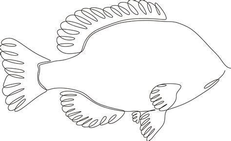 Image result for Continuous Line Drawing Fish