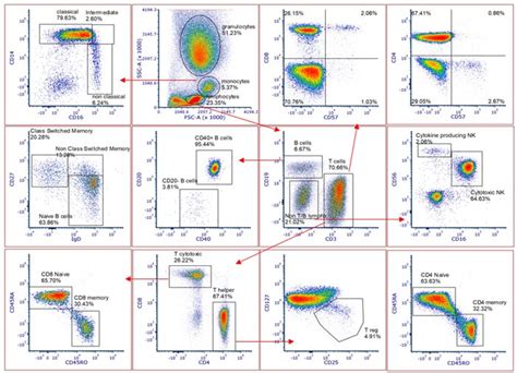 Toradh íomhá ar Conventional Flow Cytometry vs Spectral Flow Cytometry