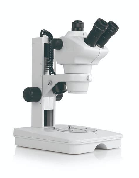 Image result for Stereo Microscope