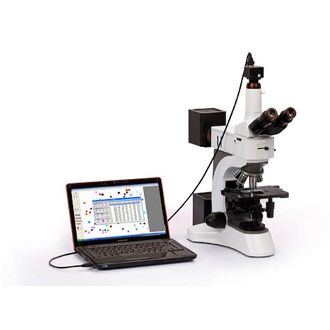 Toradh íomhá ar Particle Size Microscope