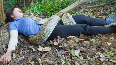 Bildergebnis für Python Woman Demon