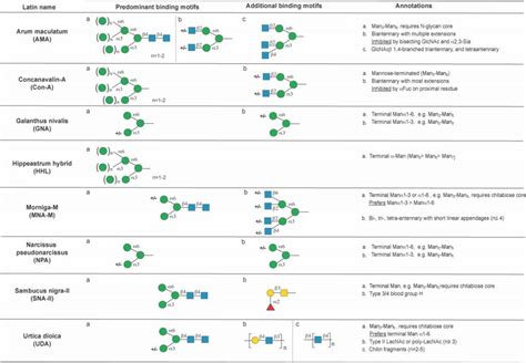 Image result for Cy3 Reaction in Lectin Array