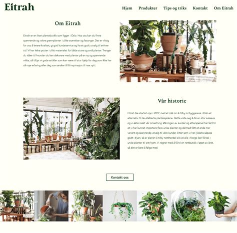 Image result for New Project in HTML and CSS