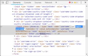 Image result for Any Desk ID in Selenium Java