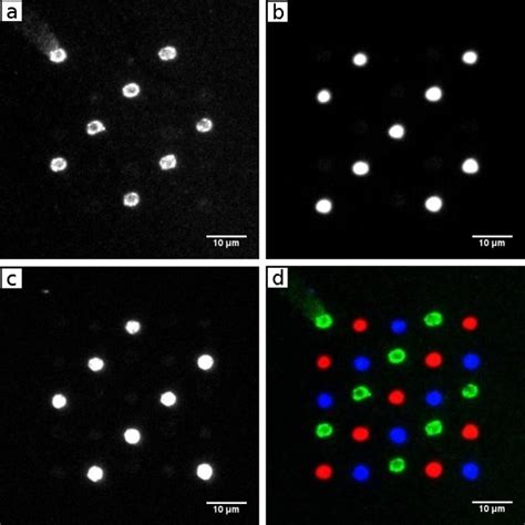 Image result for Cy3 Reaction in Lectin Array