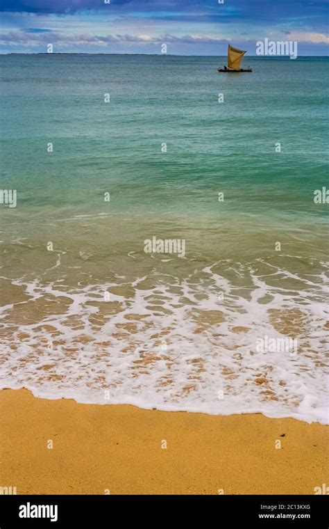 Image result for Pirogue Hunting Boats