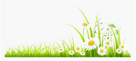 Image result for Spring Thin Line Shape Transparent