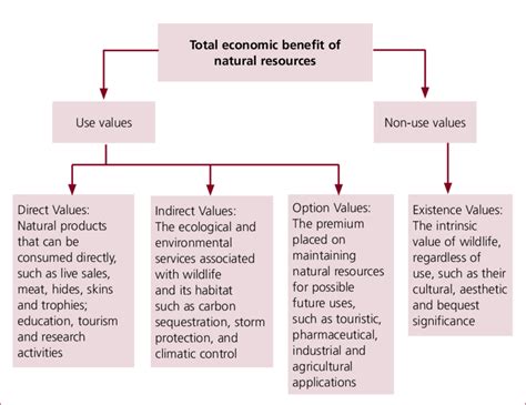 Afbeeldingsresultaten voor Value of Nature