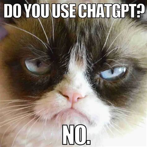 Chatgpt API Key Web Scraper Meme に対する画像結果