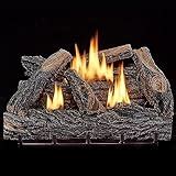 Image result for Gas Log Remote Control Installation