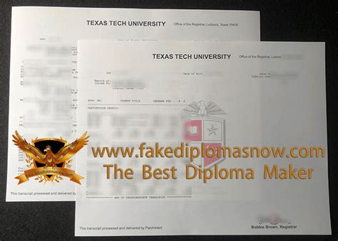 Image result for Texas Tech University Transcript Key