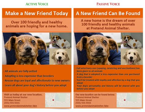 Image result for Activa and Passive