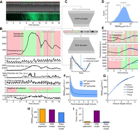 Image result for Encoder Output Neural Network