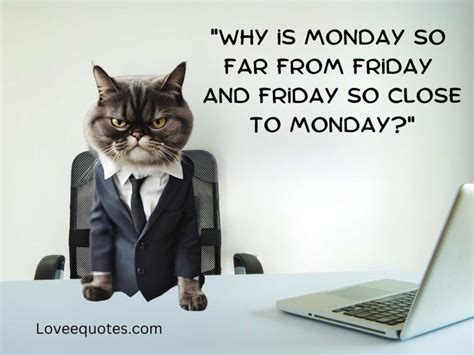 250+ Hilarious Funny Monday Quotes: Relatable & Witty - Lovee Quotes