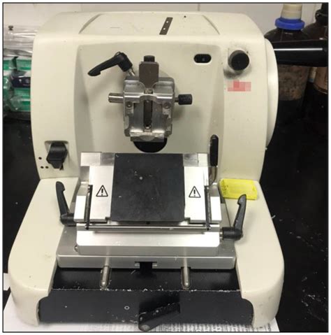 Afbeeldingsresultaten voor What Is a Microtome