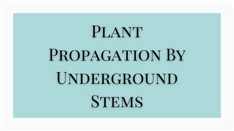 Vegetative Propagation by Stem に対する画像結果