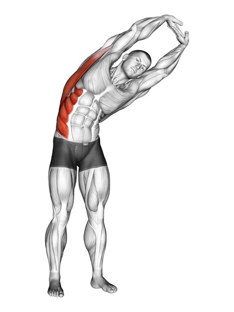 Toradh íomhá ar QL Stretches Hand Out