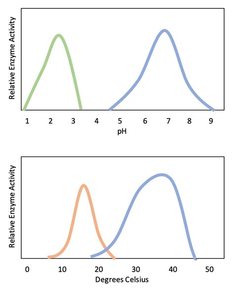 Toradh íomhá ar Specific Activity Graph