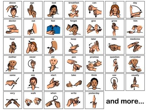 Basic Classroom Sign Language に対する画像結果