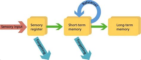 Image result for The Memory Process