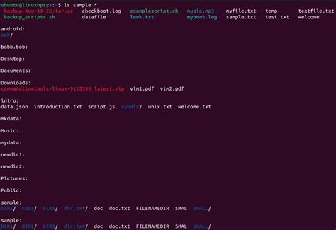 Image result for How to Use LS Command in Ubuntu