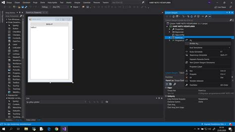 Toradh íomhá ar Visual Studio Windows Forms Array