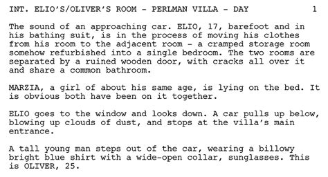 Example of a Drama Script に対する画像結果