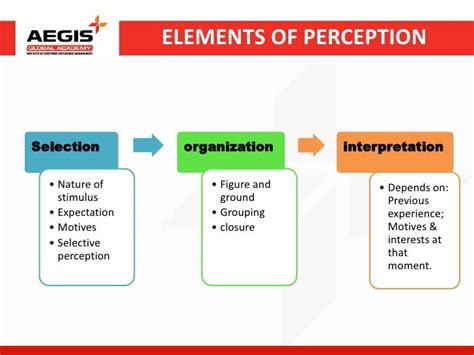 Image result for Perception Basics
