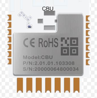 Image result for CBU Function Check