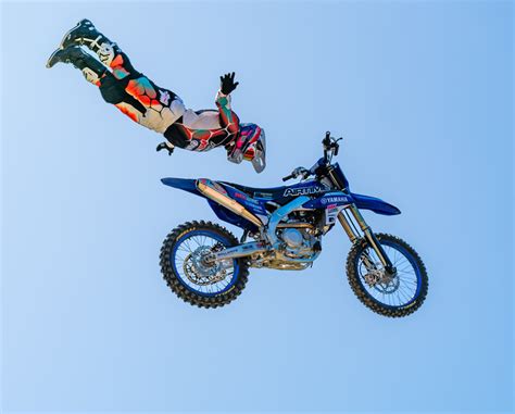 FMX Poses に対する画像結果