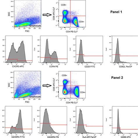 Toradh íomhá ar flow cytometry gating examples