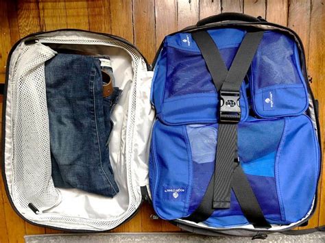 Image result for Tortuga Set Out