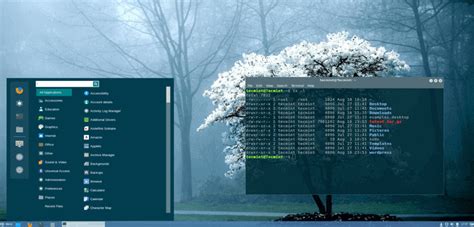 Afbeeldingsresultaten voor Linux Lite Desktop Environment