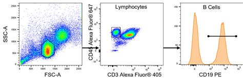 Flow Cytometry Panel Gating に対する画像結果