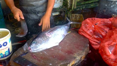 Afbeeldingsresultaten voor Tuna Fish Cutting Methods