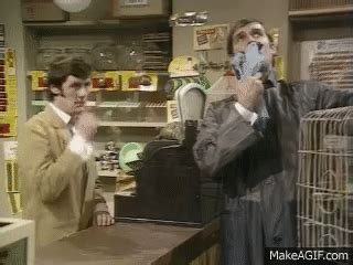 Afbeeldingsresultaten voor Monty Python Dead GIF