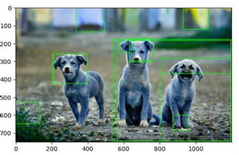 Image result for Steps of Selective Search Computer Vision