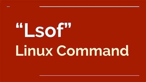 Lsof Command in Linux に対する画像結果