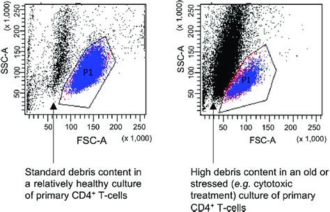 Toradh íomhá ar flow cytometry gating examples