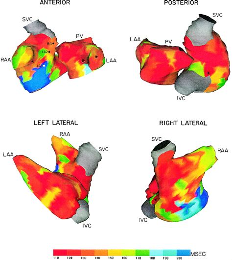 Image result for AFI Graph Over Time