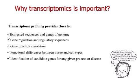 Image result for Understanding Transcriptomics