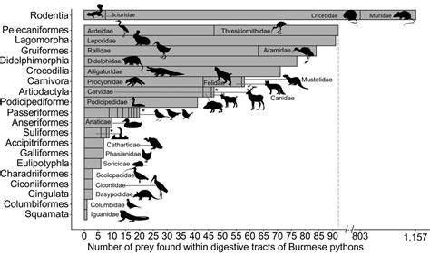 Image result for Python Population in Florida Map